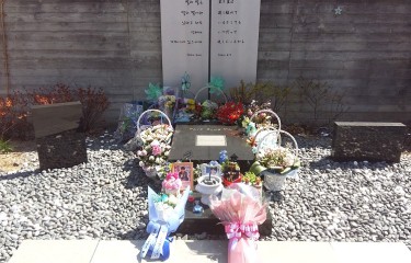 2016年度の故・朴ヨンハさんの七回忌前に!!!!