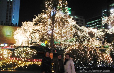 年末年始であればもっと華やかだったのに、、、でも、ロッテホテルの灯りは今月末までですから見逃せなく、本間綺麗やで、。、。