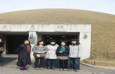 『日帰りの慶州ツアー』　王様のお墓である天馬塚、、、、お墓とは思えないくらい大きくて数も多かったんですよね。