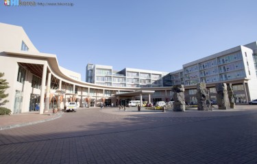 フェニックスアイルランド