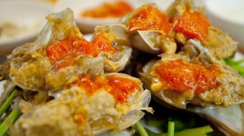 プロガンジャンゲジャン