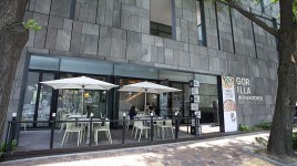 ゴリラ・イン・ザ・キッチン