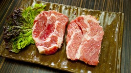 トンジョン　DONEZONE