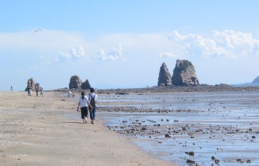 済扶島（ジェブド）海の道＆海鮮グルメ 日帰りツアー