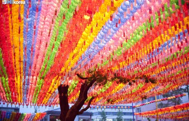 曹渓寺　燃灯祝祭