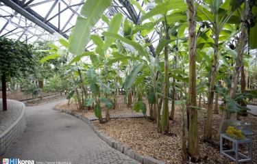 如美地(ヨミジ)植物園(済州島)