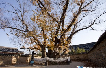 三神堂（安東河回村）