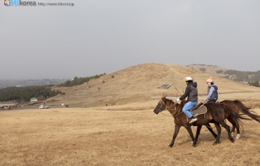 牛島（済州島）