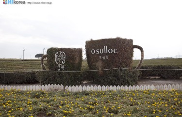 オソルロクティ ミュージアム（済州島）