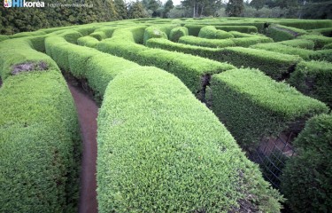 金寧迷路公園(済州島)